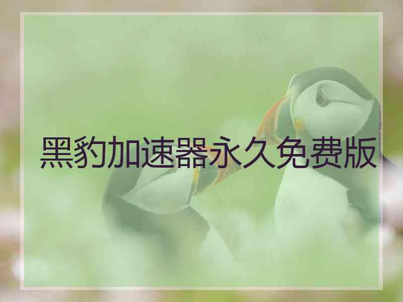 黑豹加速器永久免费版