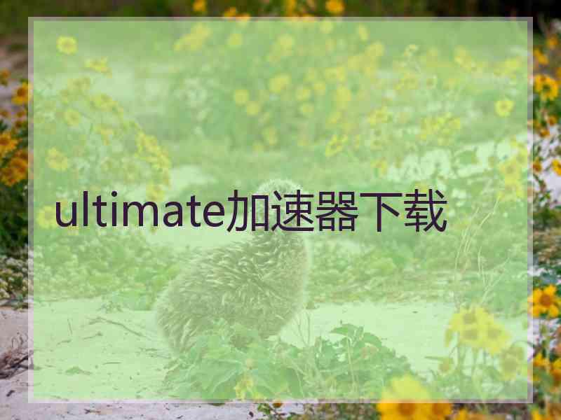 ultimate加速器下载