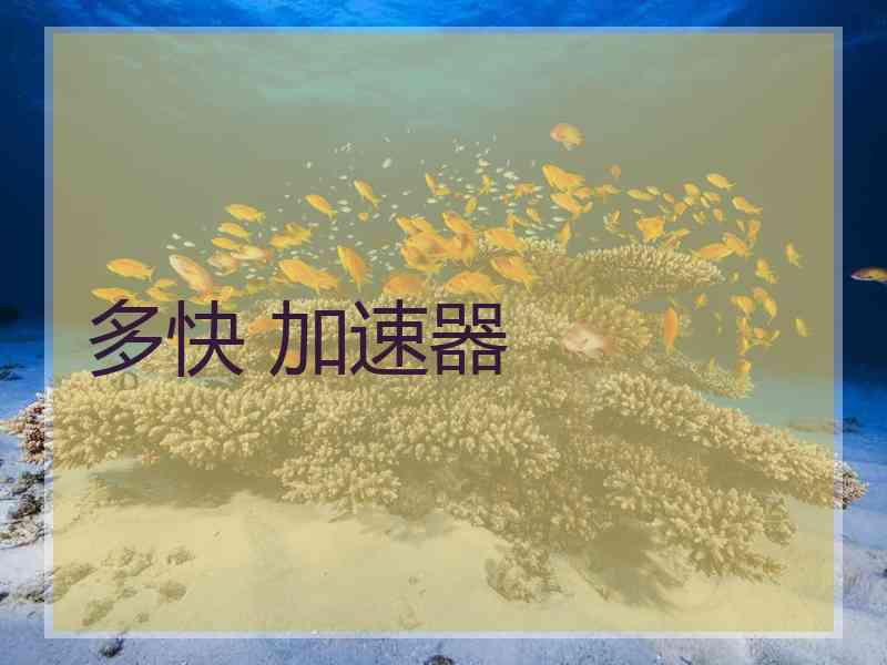 多快 加速器