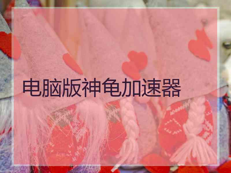 电脑版神龟加速器