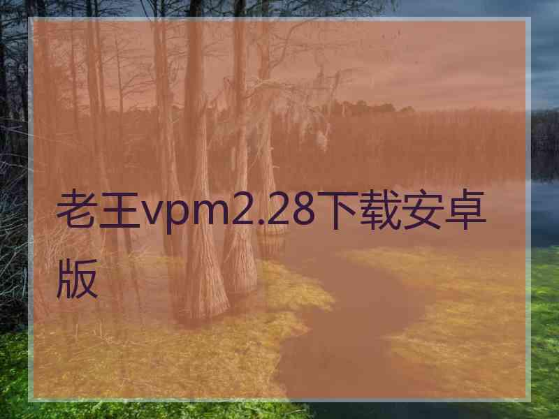 老王vpm2.28下载安卓版