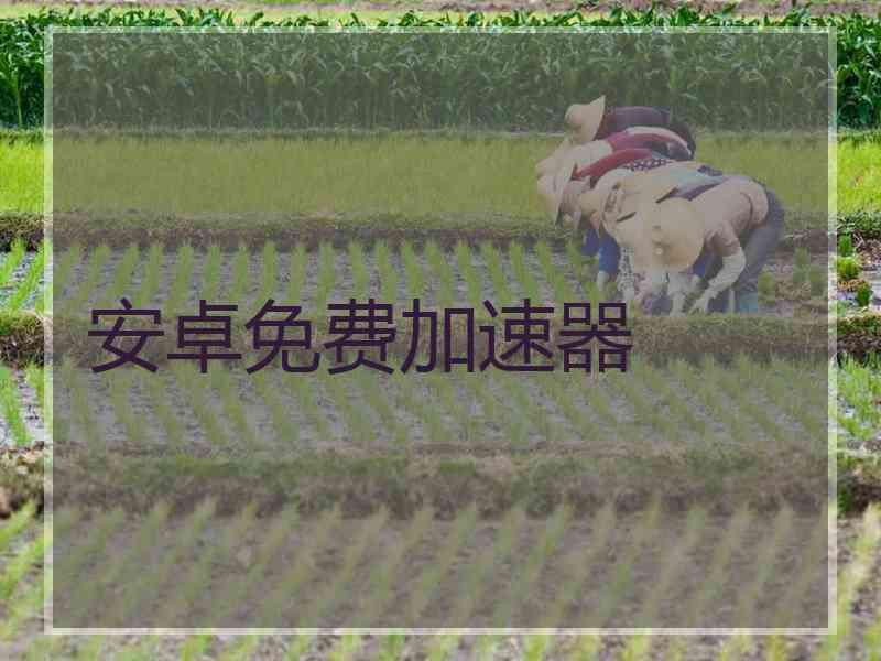 安卓免费加速器