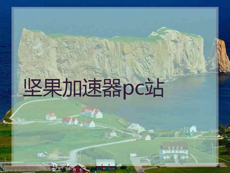 坚果加速器pc站
