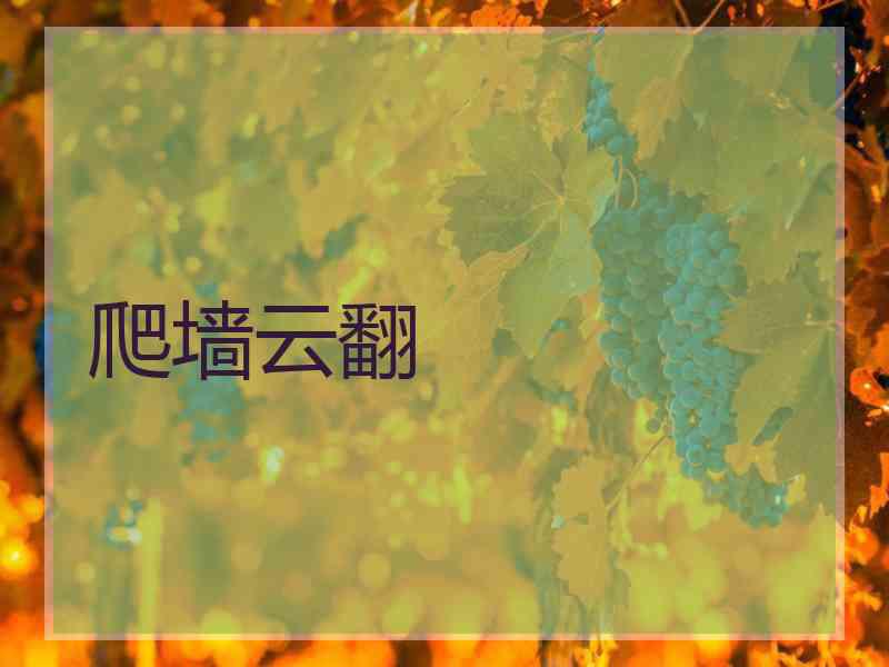 爬墙云翻