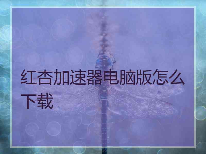 红杏加速器电脑版怎么下载