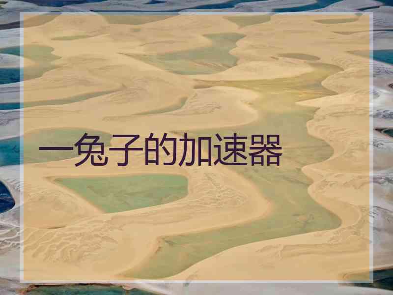 一兔子的加速器