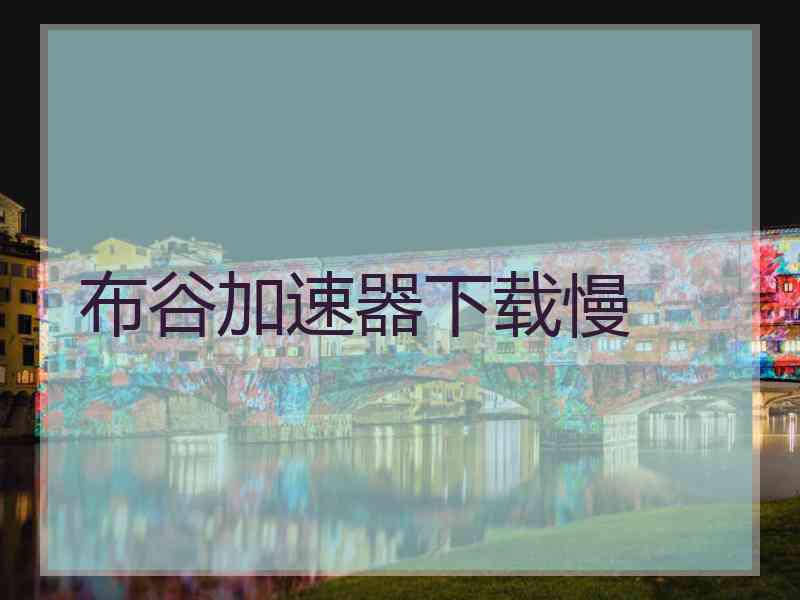 布谷加速器下载慢