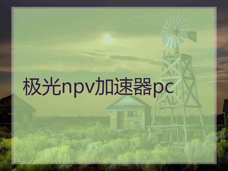 极光npv加速器pc