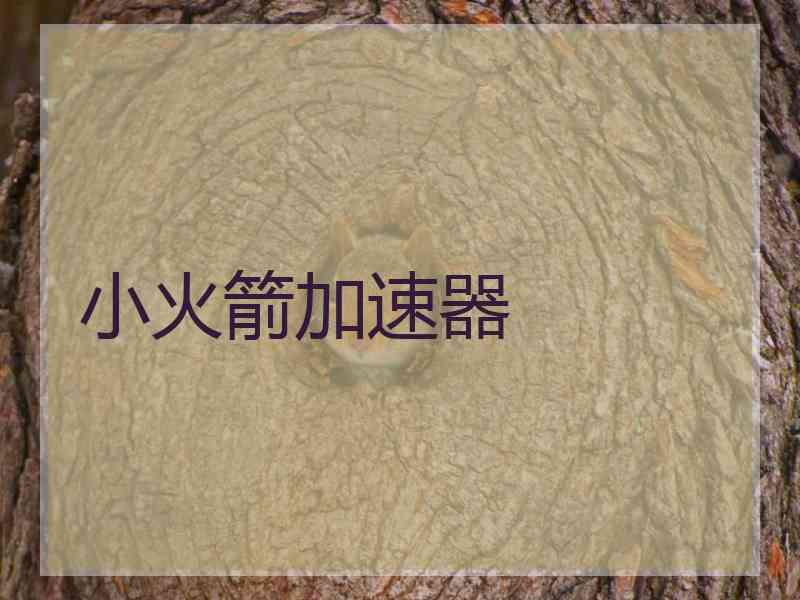 小火箭加速器