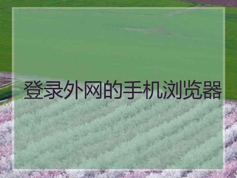 登录外网的手机浏览器
