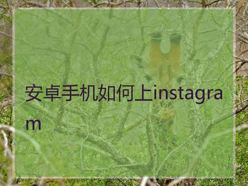 安卓手机如何上instagram