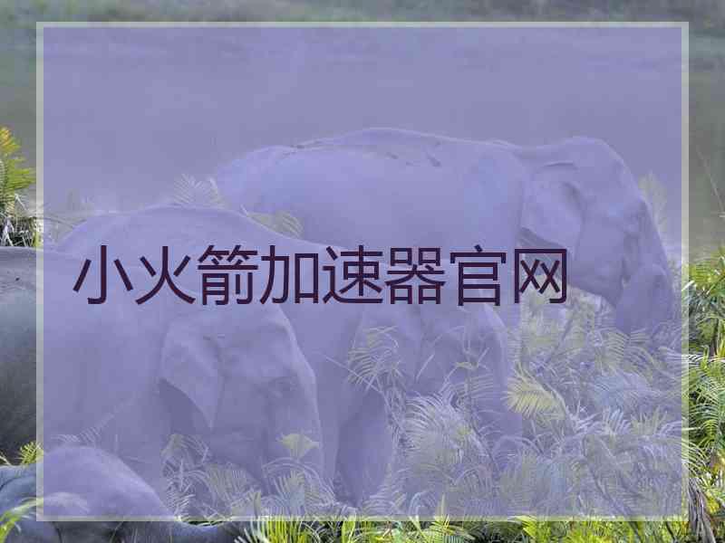 小火箭加速器官网