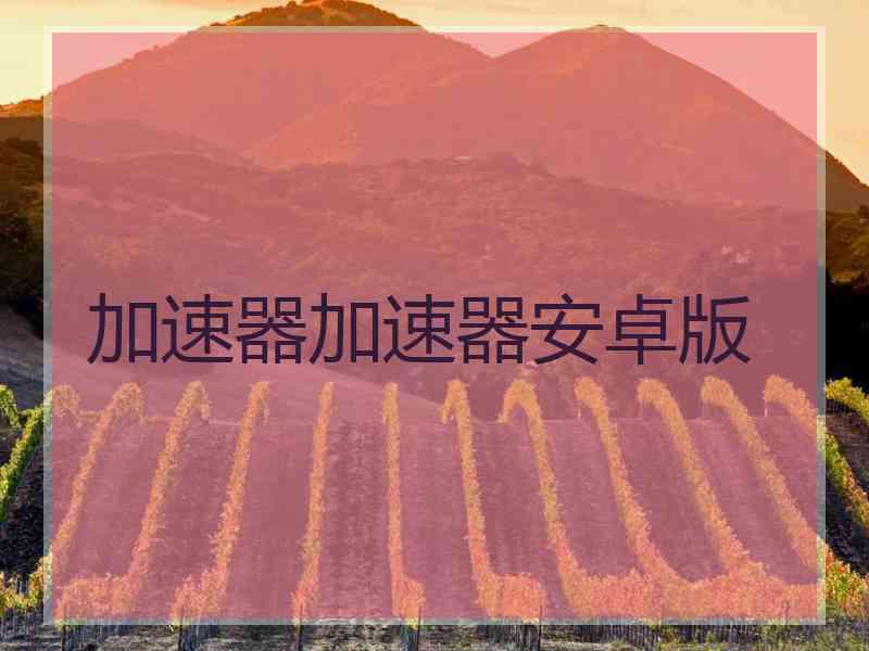 加速器加速器安卓版