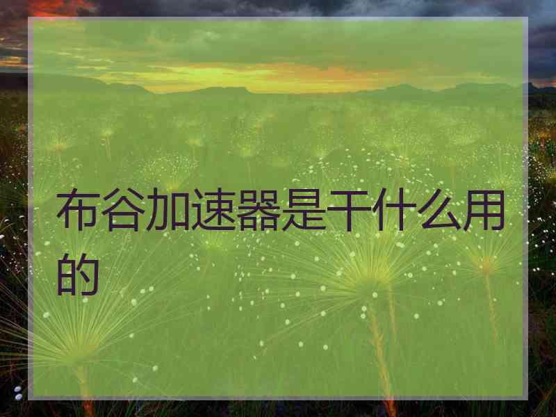 布谷加速器是干什么用的