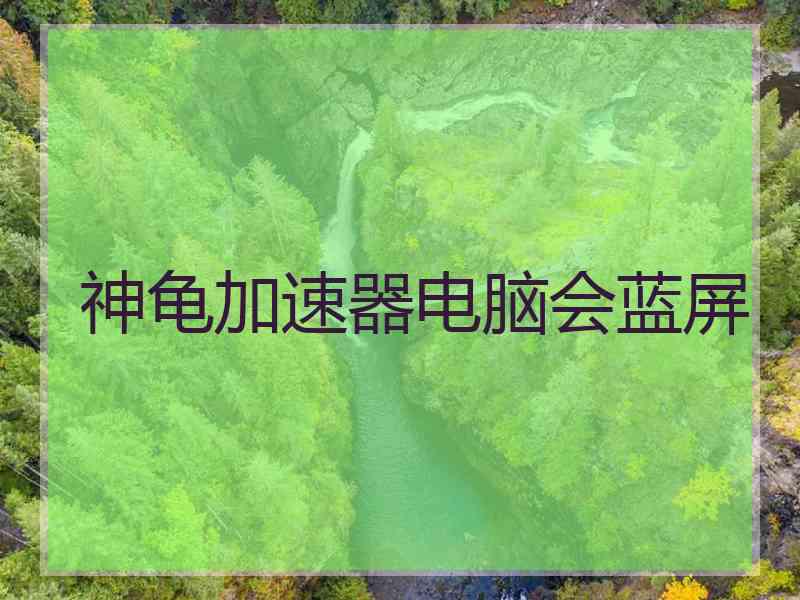 神龟加速器电脑会蓝屏