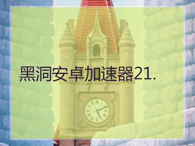 黑洞安卓加速器21.