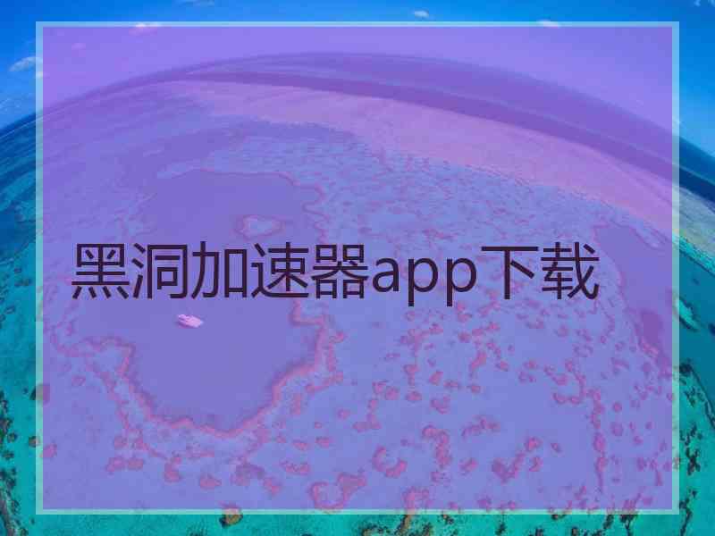黑洞加速器app下载