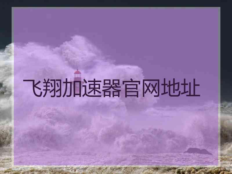 飞翔加速器官网地址