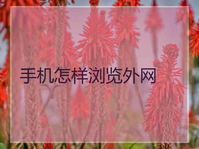 手机怎样浏览外网
