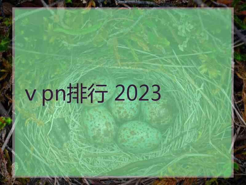 ⅴpn排行 2023