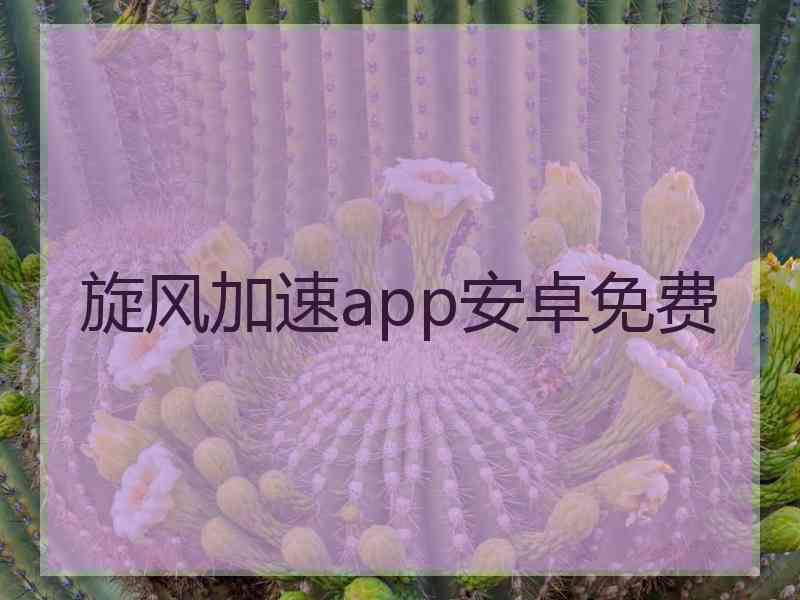旋风加速app安卓免费