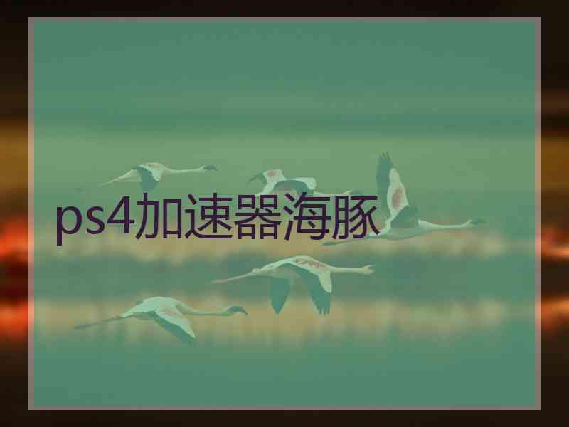 ps4加速器海豚
