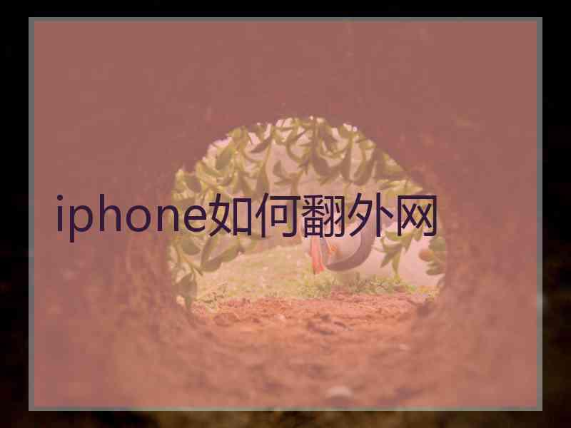 iphone如何翻外网