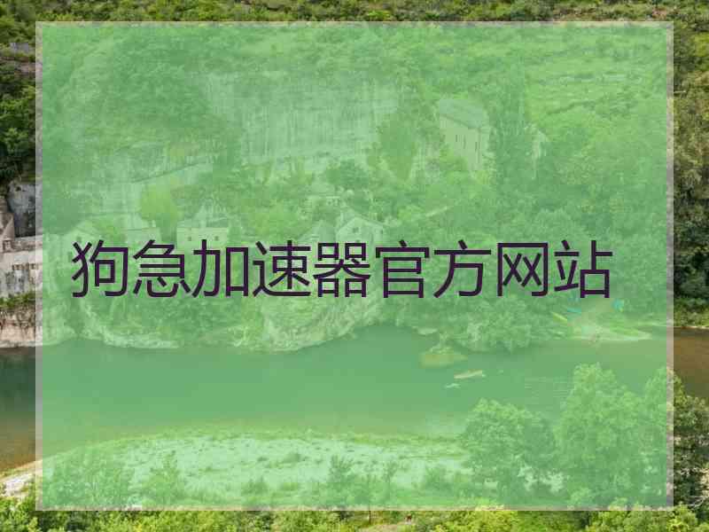 狗急加速器官方网站