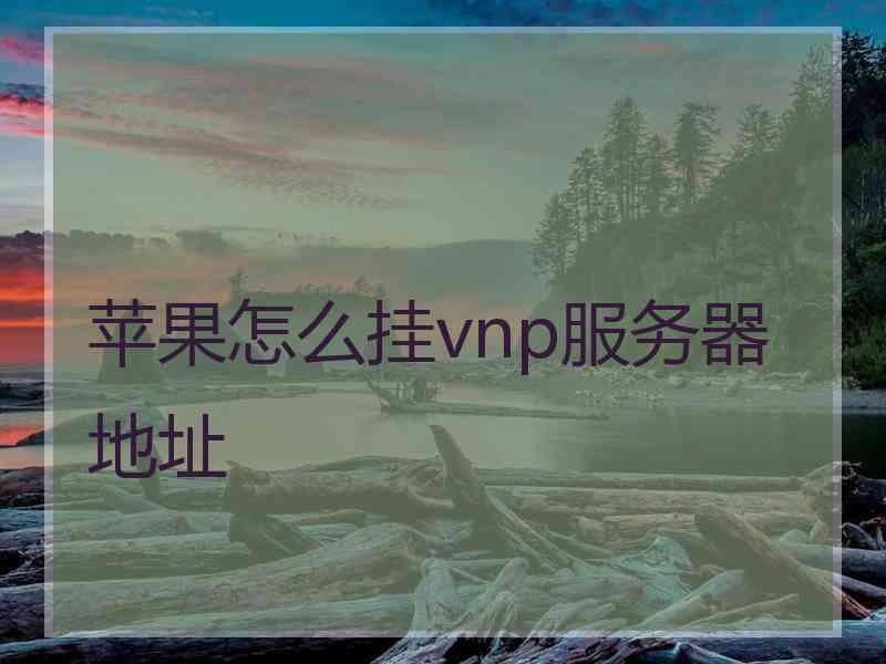 苹果怎么挂vnp服务器地址