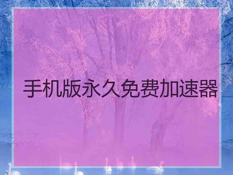 手机版永久免费加速器
