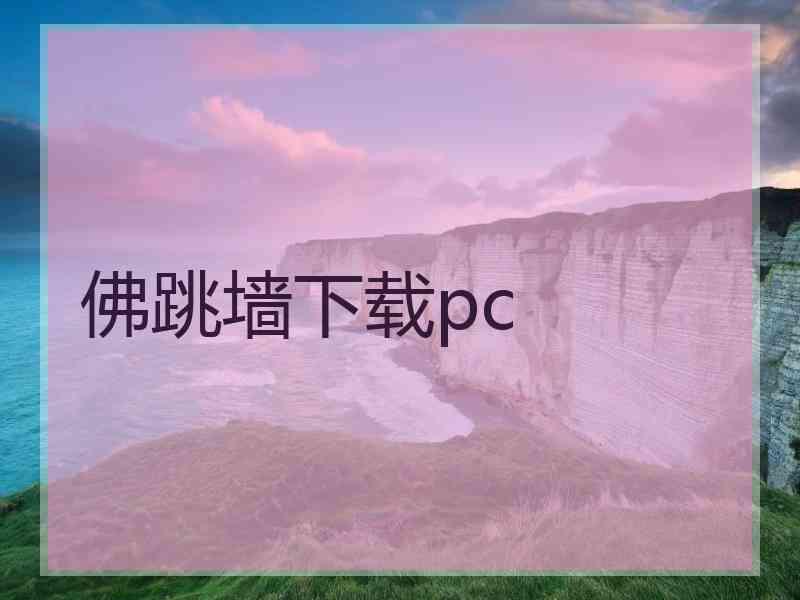 佛跳墙下载pc