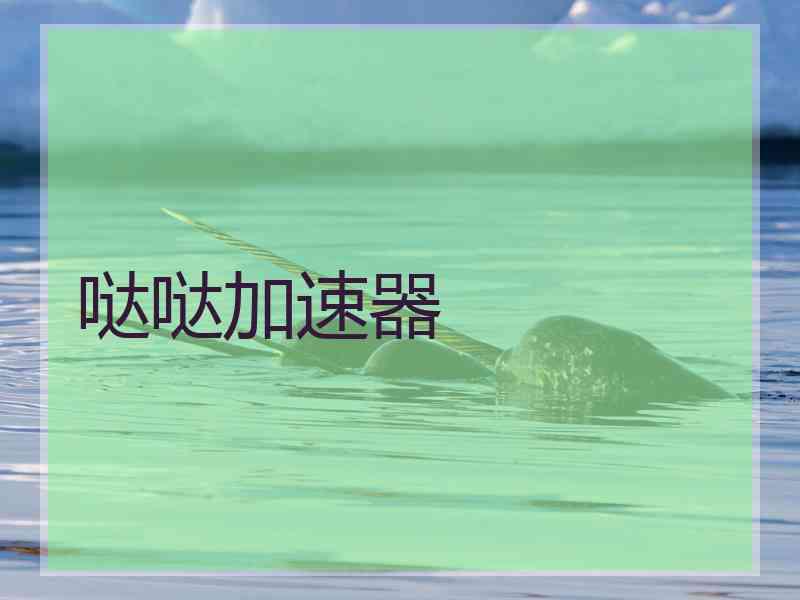 哒哒加速器