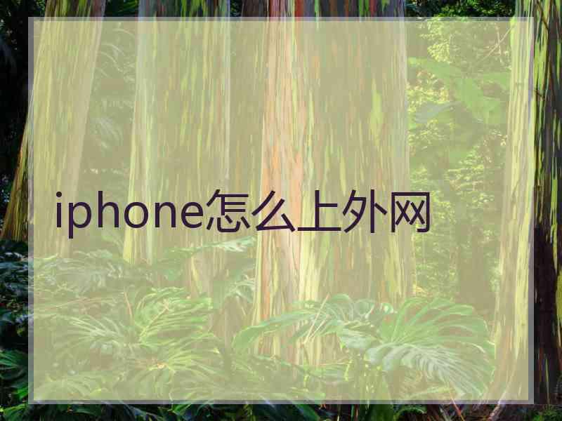 iphone怎么上外网