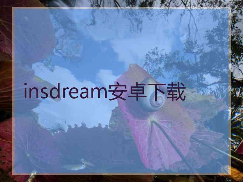 insdream安卓下载