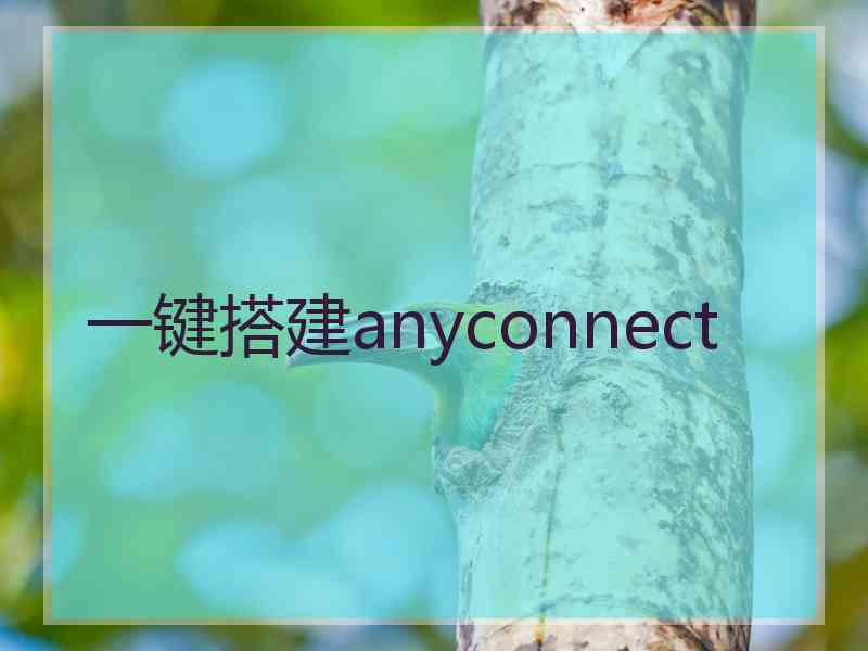 一键搭建anyconnect