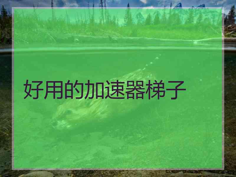好用的加速器梯子