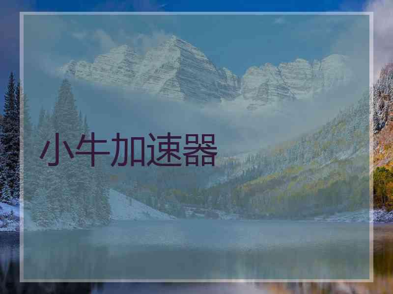 小牛加速器