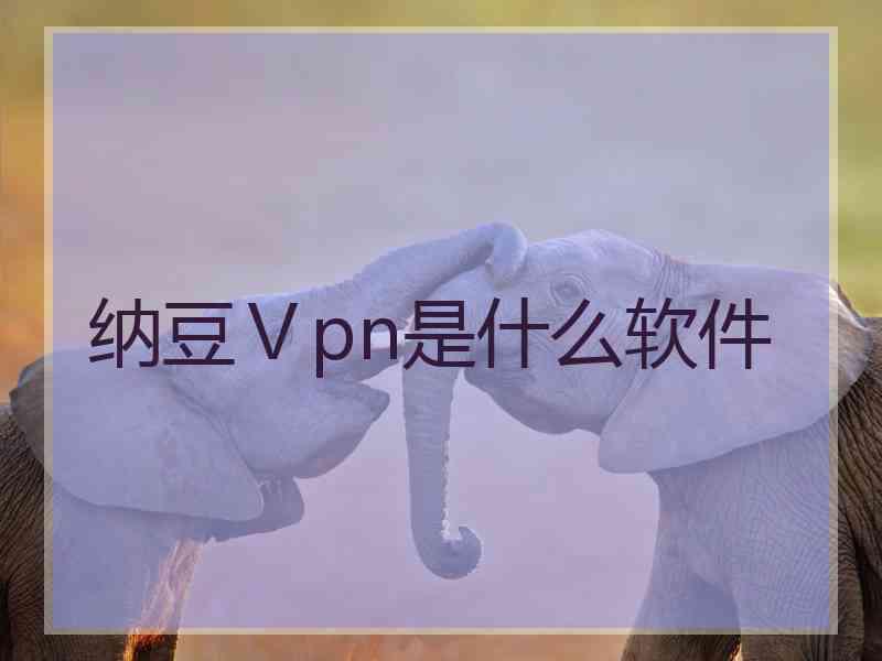 纳豆Ⅴpn是什么软件