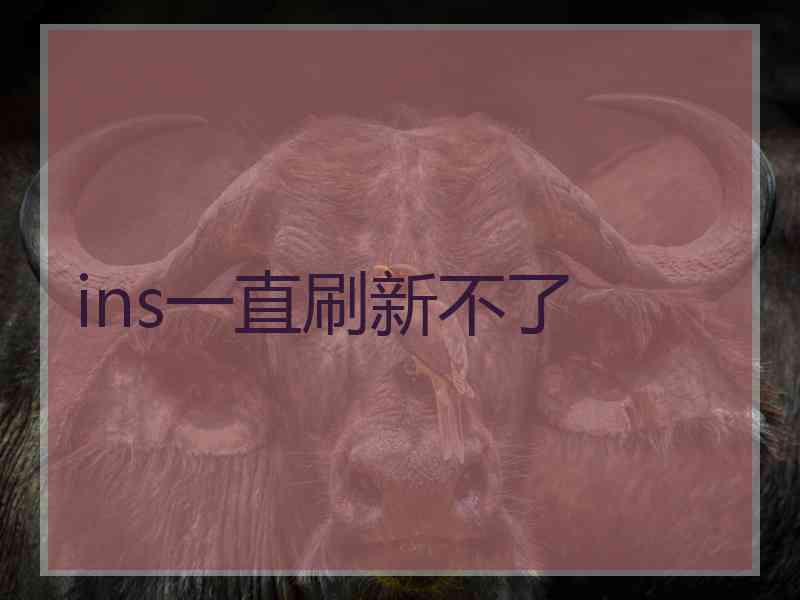ins一直刷新不了