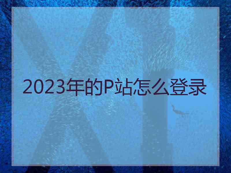 2023年的P站怎么登录