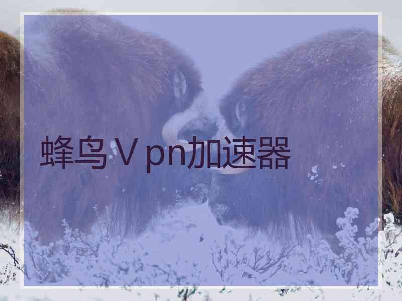 蜂鸟Ⅴpn加速器
