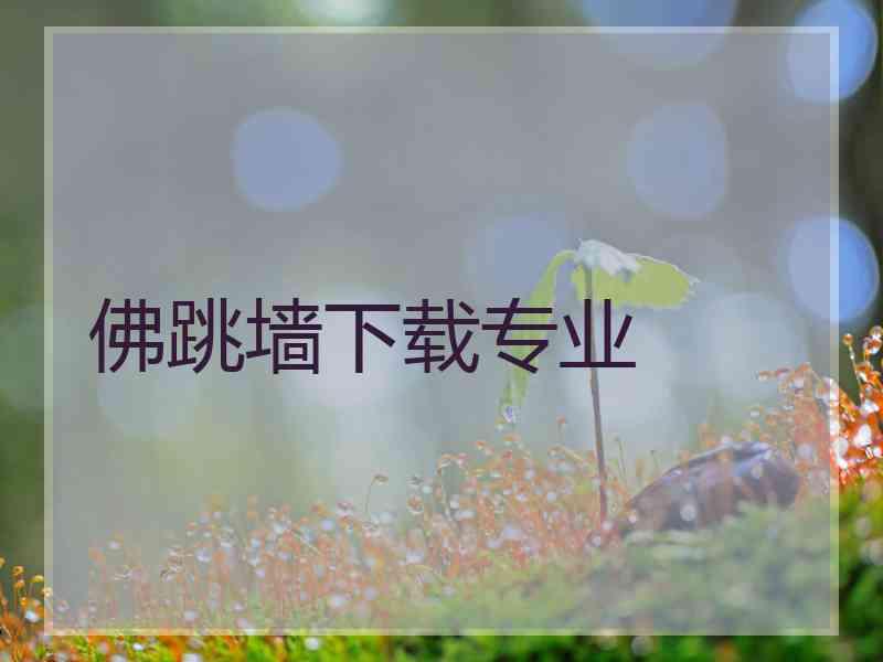 佛跳墙下载专业