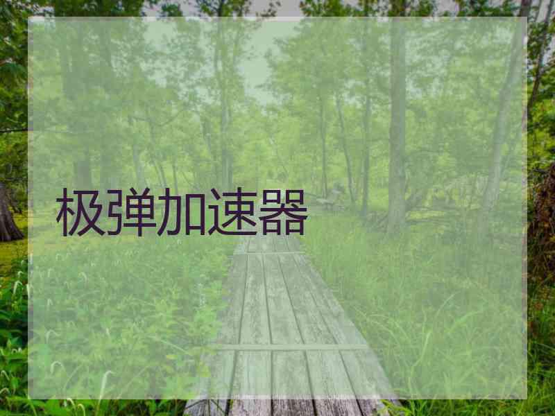 极弹加速器