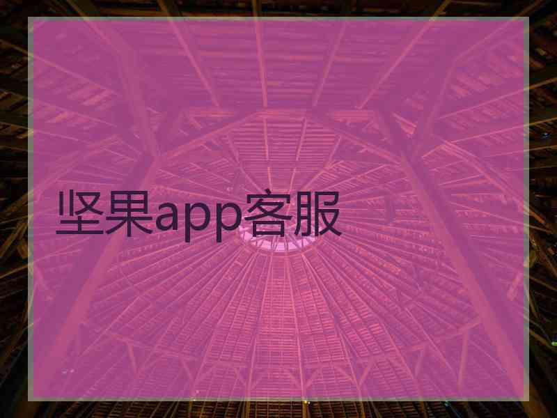 坚果app客服