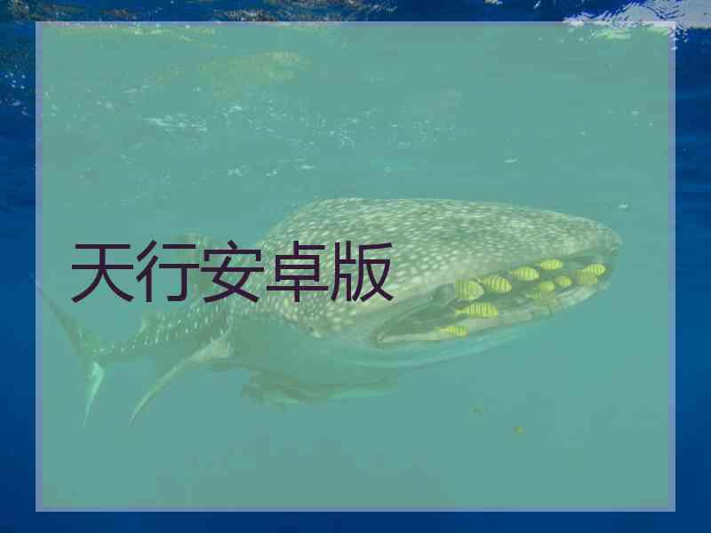 天行安卓版