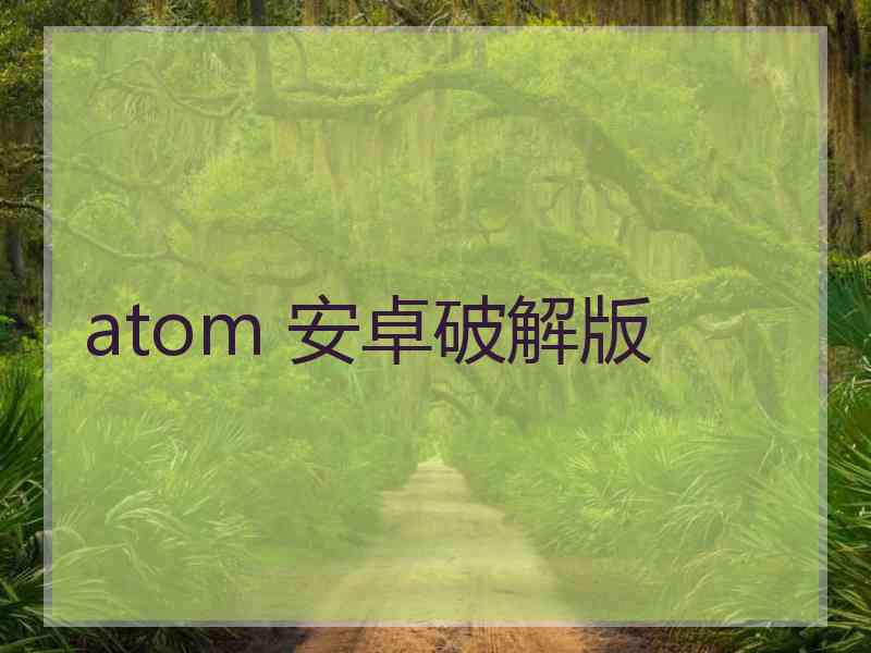 atom 安卓破解版