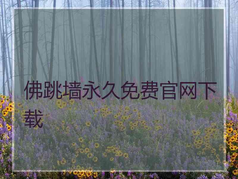 佛跳墙永久免费官网下载