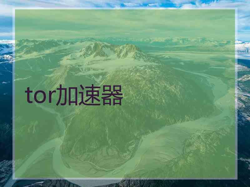 tor加速器