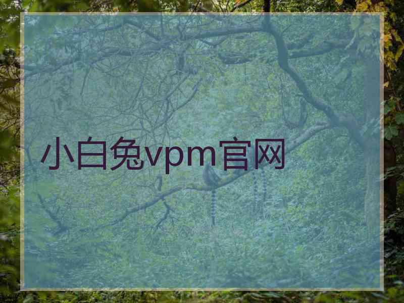 小白兔vpm官网