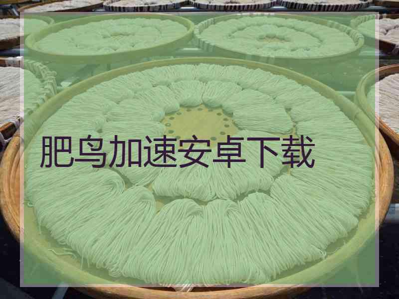 肥鸟加速安卓下载